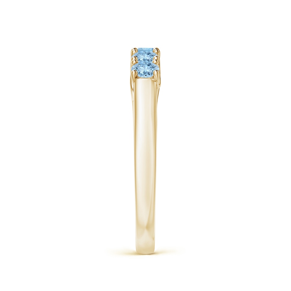 2.8mm AAA Half Eternity Five Stone Aquamarine Wedding Ring in Yellow Gold side 299