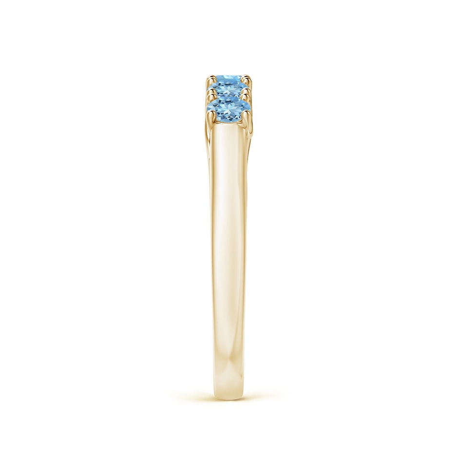 2.8mm AAAA Half Eternity Five Stone Aquamarine Wedding Ring in Yellow Gold side 299
