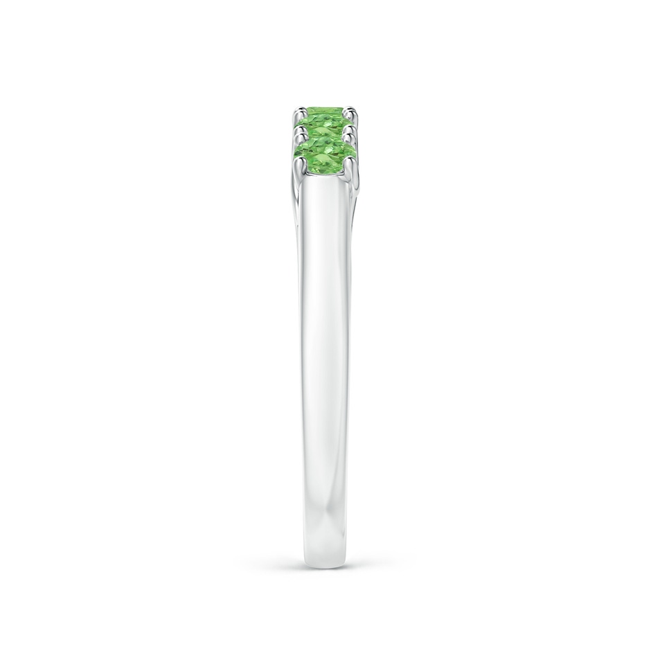 2.8mm A Half Eternity Five Stone Tsavorite Wedding Ring in White Gold side 299