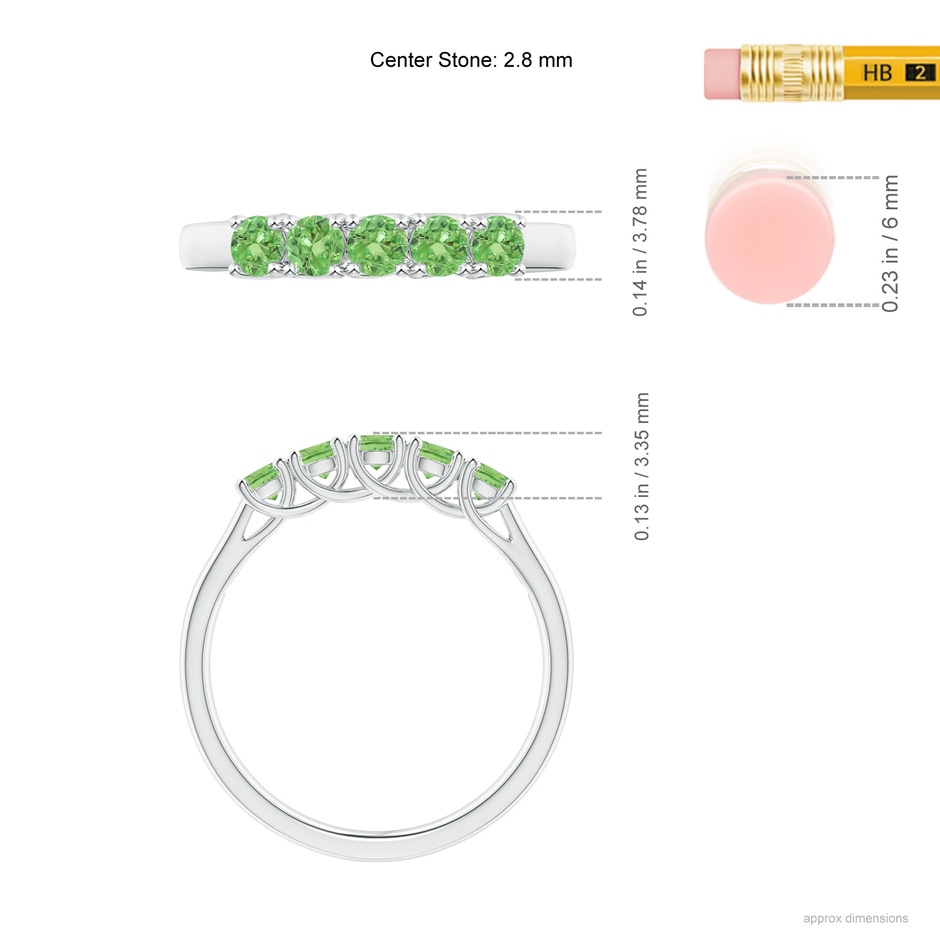 2.8mm A Half Eternity Five Stone Tsavorite Wedding Ring in White Gold ruler