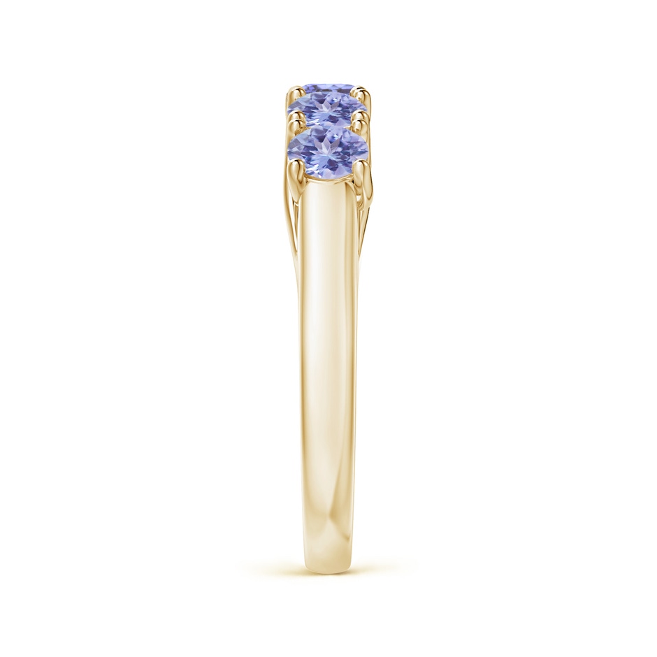 3.8mm AA Half Eternity Five Stone Tanzanite Wedding Band in 10K Yellow Gold side 299