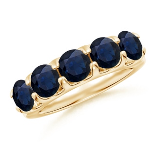 Round A Blue Sapphire