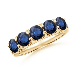 Round AA Blue Sapphire