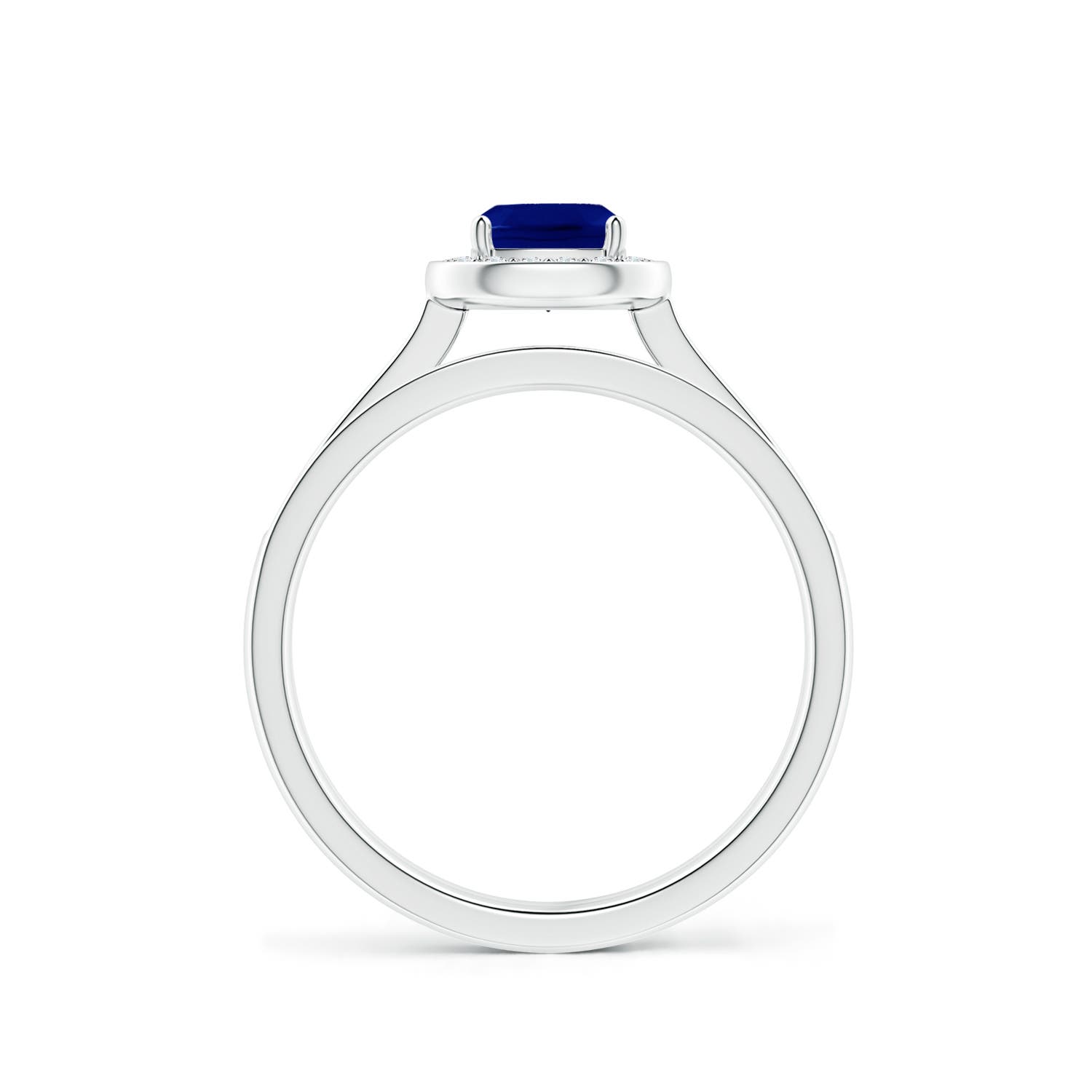 AAA - Blue Sapphire / 0.93 CT / 14 KT White Gold