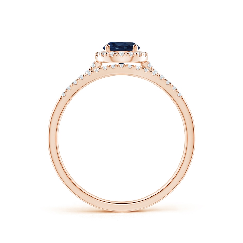 5mm AA Blue Sapphire and Diamond Halo Comfort Fit Bridal Set in Rose Gold side 199