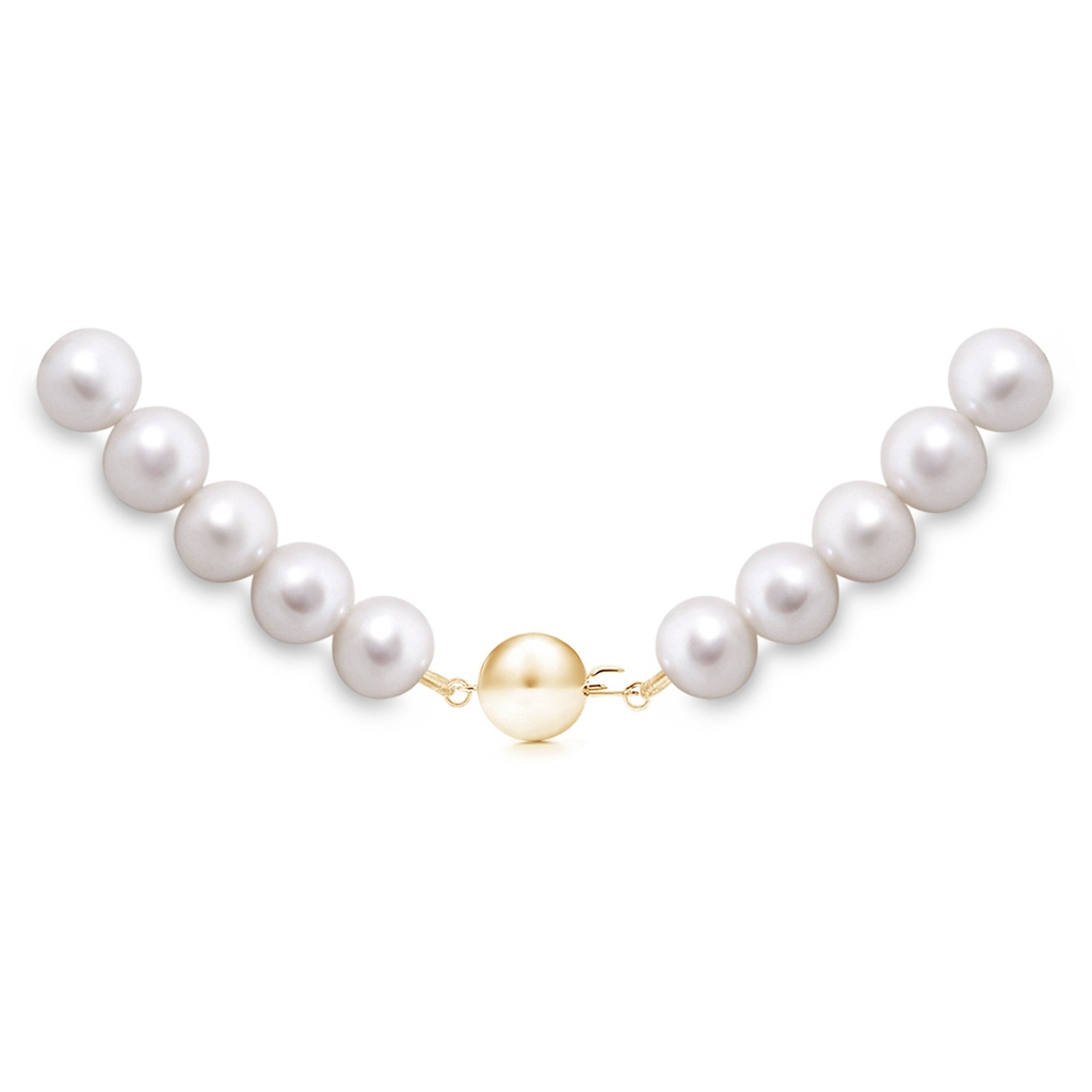 6.5-7mm Ball Clasp 16" Freshwater Pearl Choker Strand in Yellow Gold Product Image