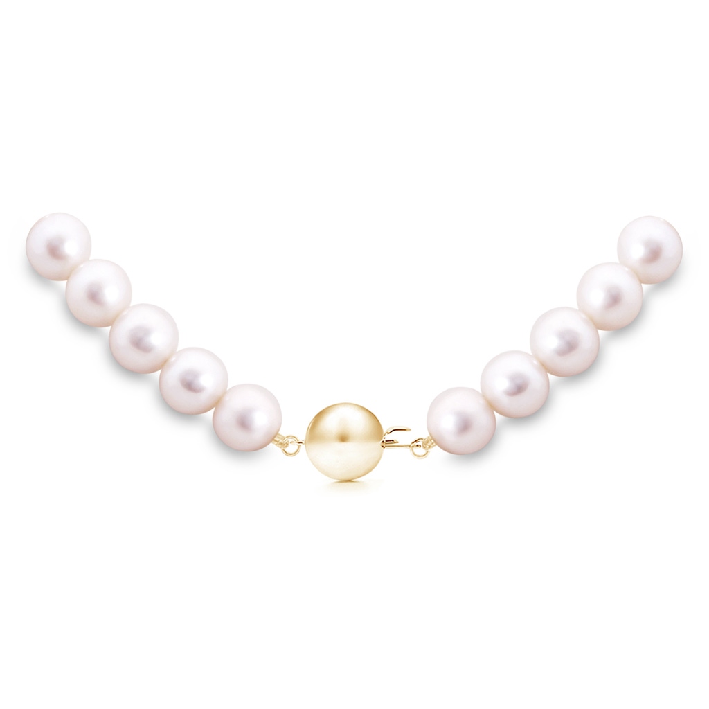8-8.5mm Ball Clasp 16" Freshwater Pearl Single Strand Choker Necklace in Yellow Gold Product Image